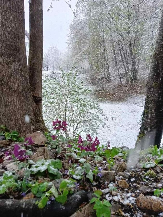 Plitvice Oaza Mira Villa Smoljanac Exteriör bild