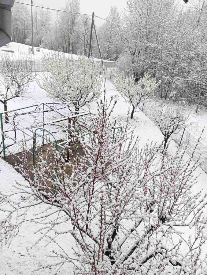 Plitvice Oaza Mira Villa Smoljanac Exteriör bild